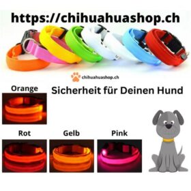 Hundeleuchtband LED XXS-XL verschiedene Farben Orange, Gelb, Rot, Pink