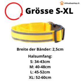 Hundeleuchtband LED S–XL