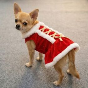 Hunde Kostüm – Niklaus Weihnachten