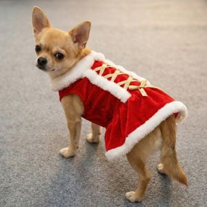 Hunde Kostüm – Niklaus Weihnachten