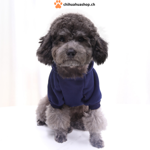 chihuahuashop.ch PAW Kapuzen Pullover für kleine Hunde und Welpen XS-XXL