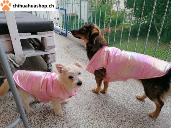 Rosa Hunde Kleidung, Jacke, Wasserdicht für Welpen Puppy Winter Warme Weste Mantel für kleine Hunde