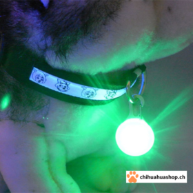 Hunde Halsband Anhänger LED Hundehalsband Nachtlicht Sicherheit leuchtender Anhänger Halsband