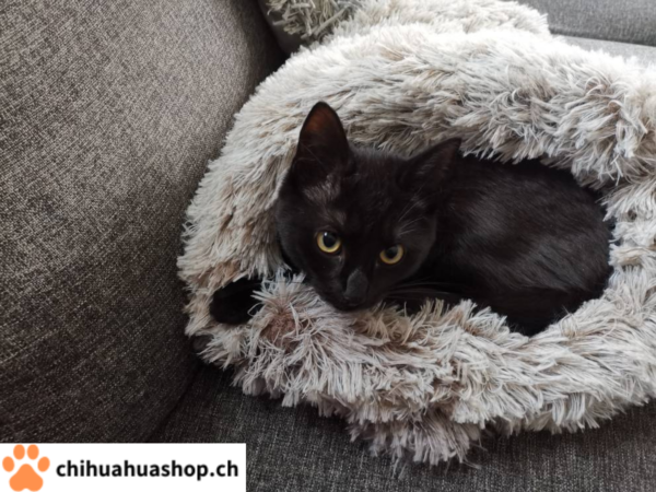 Hunde / Katzen Schlafsack, sehr schöne, weiche und gute Qualität, Bettchen Warmer geschlossener Schlafsack Im Herbst Winter Frühling Luxus High-End bequemes Schlafplätzchen 