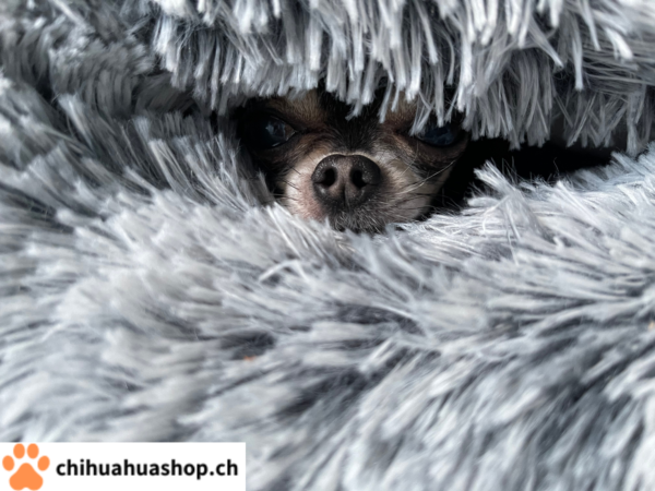 Hunde / Katzen Schlafsack, sehr schöne, weiche und gute Qualität, Bettchen Warmer geschlossener Schlafsack Im Herbst Winter Frühling Luxus High-End bequemes Schlafplätzchen 