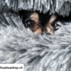 Hunde / Katzen Schlafsack, sehr schöne, weiche und gute Qualität, Bettchen Warmer geschlossener Schlafsack Im Herbst Winter Frühling Luxus High-End bequemes Schlafplätzchen 