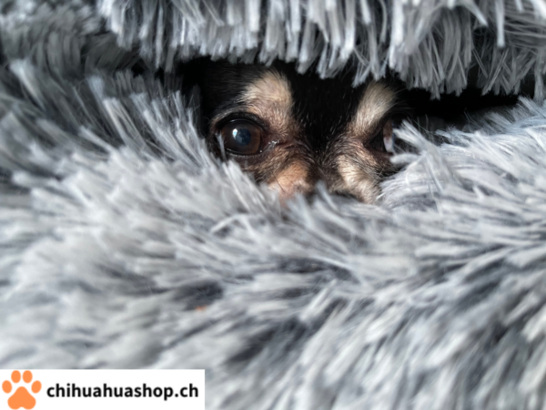 Hunde / Katzen Schlafsack, sehr schöne, weiche und gute Qualität, Bettchen Warmer geschlossener Schlafsack Im Herbst Winter Frühling Luxus High-End bequemes Schlafplätzchen 