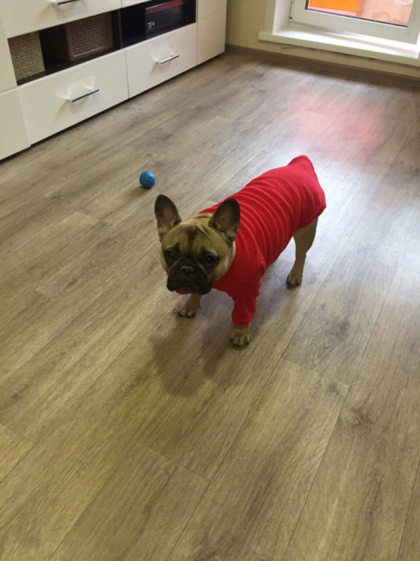 T-Shirt Weste für Hunde / Welpe Hundeweste mit Ring für Leine Rosa, Marineblau und Rot