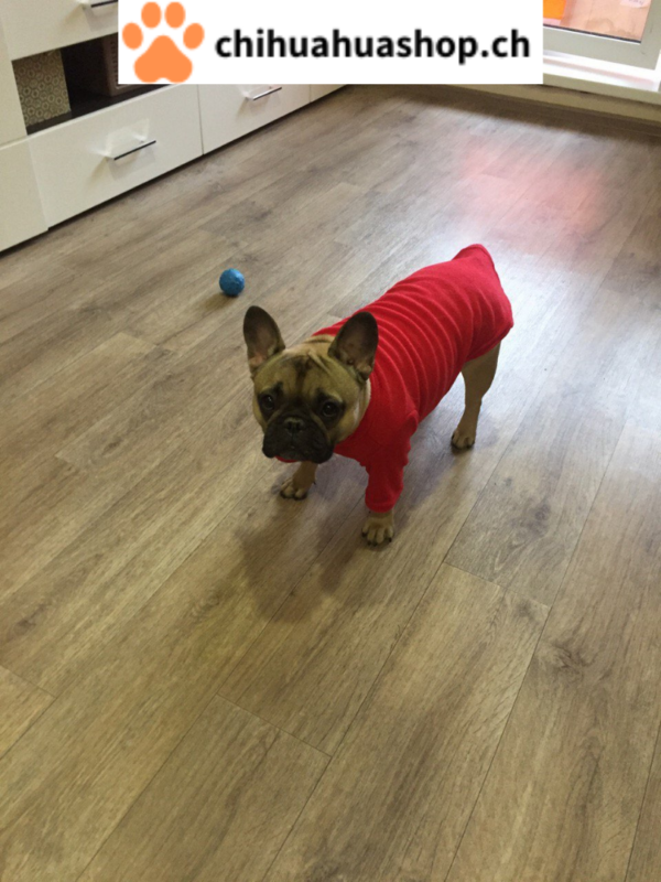 T-Shirt Weste für Hunde / Welpe Hundeweste mit Ring für Leine Rosa, Marineblau und Rot