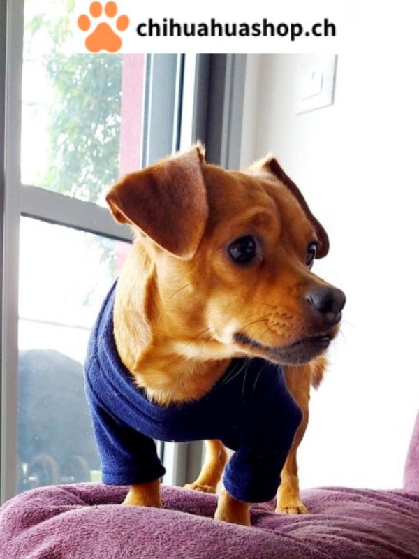 T-Shirt Weste für Hunde / Welpe Hundeweste mit Ring für Leine Rosa, Marineblau und Rot