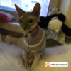 Weiche, warme gestrickte Hundepullover Blau / Rot / Vilolett / Herz Muster