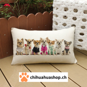 Chihuahua Kissenüberzug 30x50cm Dekoration Kissen-Überzug Für Sofa Wohnzimmer Bett