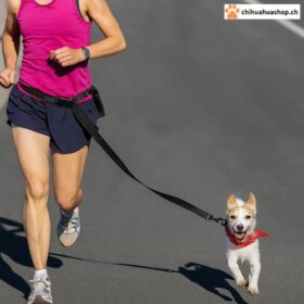 Jogging Laufleine – verstellbares Nylon Hundehalsbandleine für Sport & Walking
