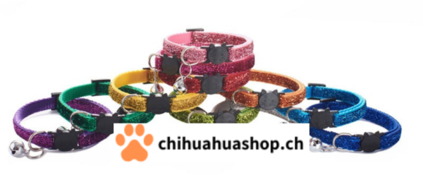 Halsband für kleine Hunde oder Katzen Modell Katzen mit Glöckchen (abnehmbar)