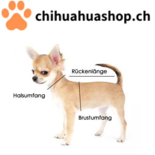 chihuahuashop.ch