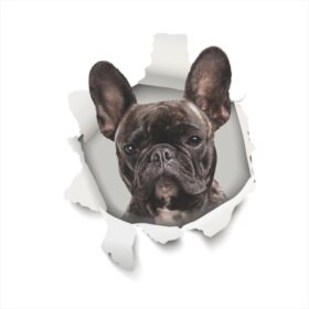 3D-Ansicht Hund Frenchy Französische Bulldogge Blue Auto Aufkleber Wandaufkleber Badezimmer Dekorationen PVC Home Küche Zimmer Dekor Wand Kühlschrank Aufkleber