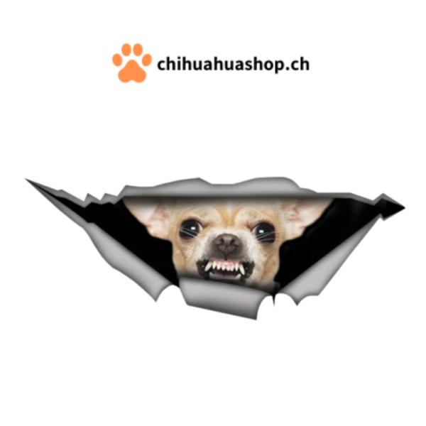 3D-Ansicht Hund Chihuahua Hell Zähne Hund Auto Aufkleber Wandaufkleber Badezimmer Dekorationen PVC Home Küche Zimmer Dekor Wand Kühlschrank Aufkleber