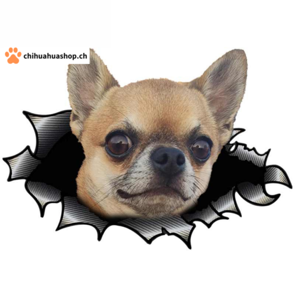 3D-Ansicht Hund Chihuahua Hell Hund Auto Aufkleber Wandaufkleber Badezimmer Dekorationen PVC Home Küche Zimmer Dekor Wand Kühlschrank Aufkleber 13x9,2cm 