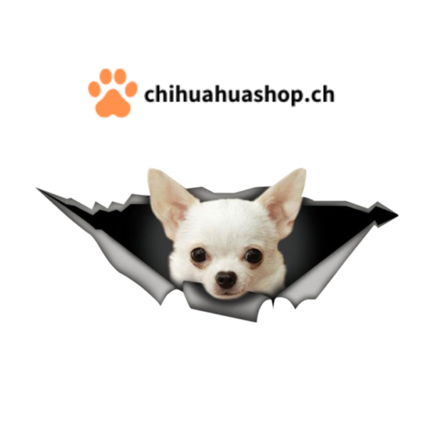 3D-Ansicht Hund Chihuahua Weiss Hund Auto Aufkleber Wandaufkleber Badezimmer Dekorationen PVC Home Küche Zimmer Dekor Wand Kühlschrank Aufkleber 13x5,5cm 