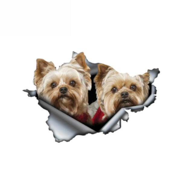 3D-Ansicht Hund Yorkshire Terrier Hund Auto Aufkleber Wandaufkleber Badezimmer Dekorationen PVC Home Küche Zimmer Dekor Wand Kühlschrank Aufkleber 13x8.6cm