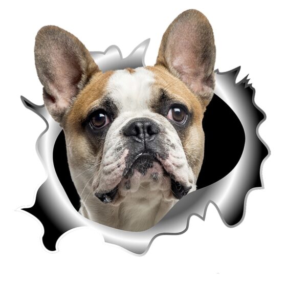 3D-Ansicht Hund Frenchy Französische Bulldogge Weiss Hellbraun Auto Aufkleber Wandaufkleber Badezimmer Dekorationen PVC Home Küche Zimmer Dekor Wand Kühlschrank Aufkleber