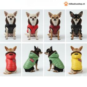 Moderne warme Hunde Jacke für kleinere Hunde mit Kapuze, Hundejacke mit trendigen verschiedenen Farb