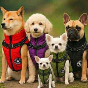 Wasser- & Schneeabweisende Winter Hundejacke