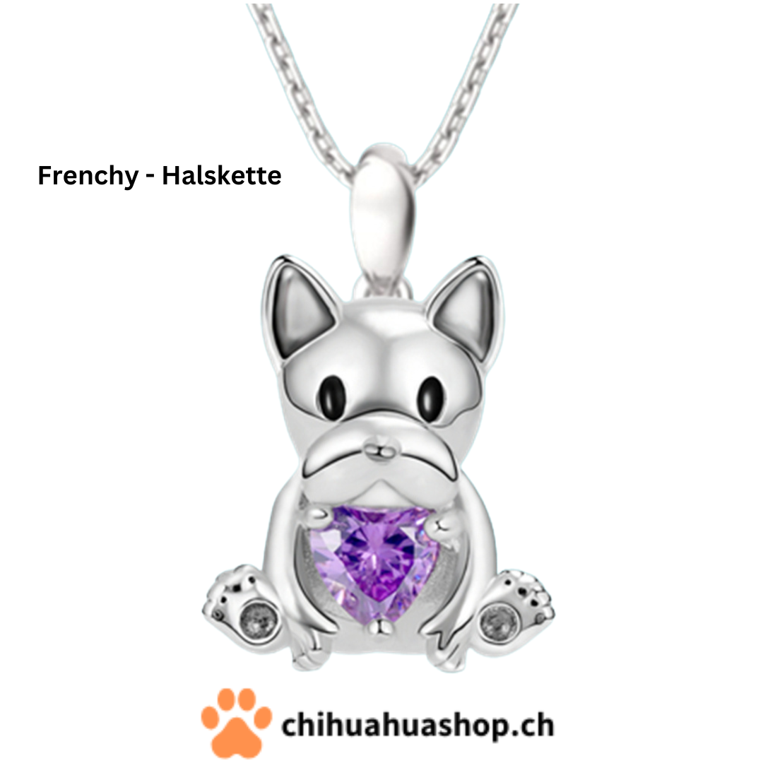 Frenchy Französische Bulldogge Anhänger Silber farbig mit Stein und  Halskette Schmuck als Geschenk oder für Dich -  Zürich