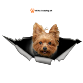 3D-Ansicht Hund Yorkie Yorkshire Terrier Hund Auto Aufkleber Wandaufkleber Badezimmer Dekorationen PVC Home Küche Zimmer Dekor Wand Kühlschrank Aufkleber 13x5,5cm