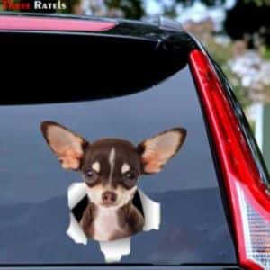 Chihuahuashop.ch Aufkleber